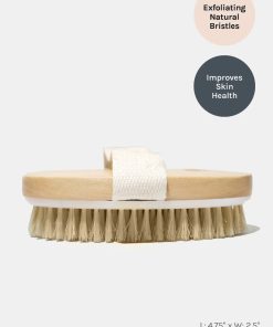 Alternative view of AOA Premium Body Dry Brush