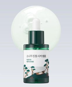 ROUND LAB Pine Calming Cica Ampoule 30ml