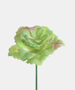 Official Key Items Artificial Succulents - Green Desert Cabbage