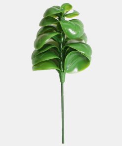 Alternative view of Official Key Items Artificial Succulents - Green Jade A