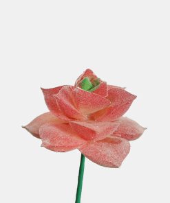 Official Key Items Artificial Succulents - Pink Echeveria Purpusorum