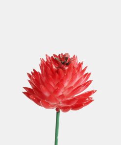 Alternative view of Official Key Items Artificial Succulents - Red Six Large Succulent