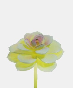 Official Key Items Artificial Succulents - Green Dudleya