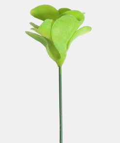 Alternative view of Official Key Items Artificial Succulents - Green Desert Rose