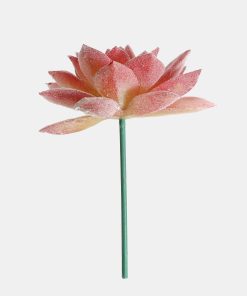 Alternative view of Official Key Items Artificial Succulents - Pink Lotus