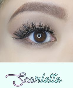 Alternative view of AOA Studio Eyelashes - Scarlette 6-Pack