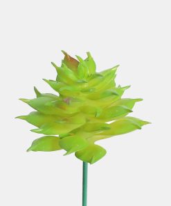 Official Key Items Artificial Succulents - Green Buttercup