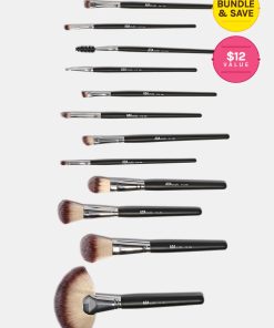 AOA 12-Piece AM Brush Set