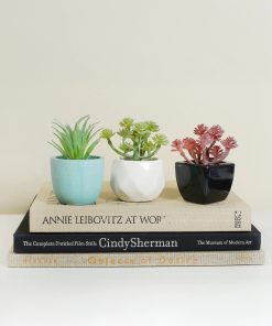 Alternative view of Official Key Items Artificial Succulents - Pink Cactus Grain