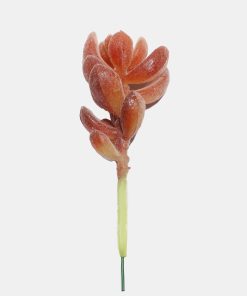 Alternative view of Official Key Items Artificial Succulents - Pink Indian Sedum
